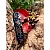 Victorinox 2021 Winter Magic限量版-雪花刀 1.7904.3E1-0