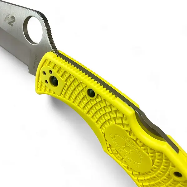 Spyderco Pacific Salt 2 潛水折刀-0