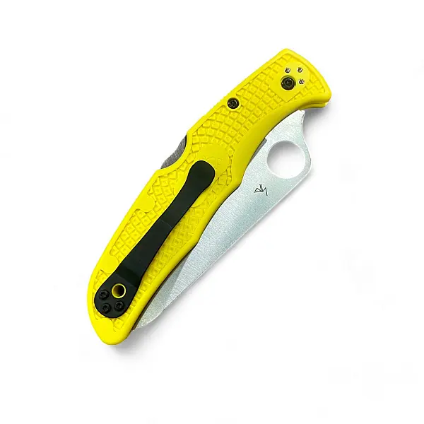 Spyderco Pacific Salt 2 潛水折刀-0