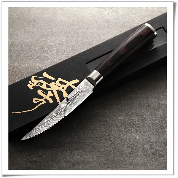 ZHEN臻 日本進口67層大馬鋼 109mm 半齒刃牛排刀
